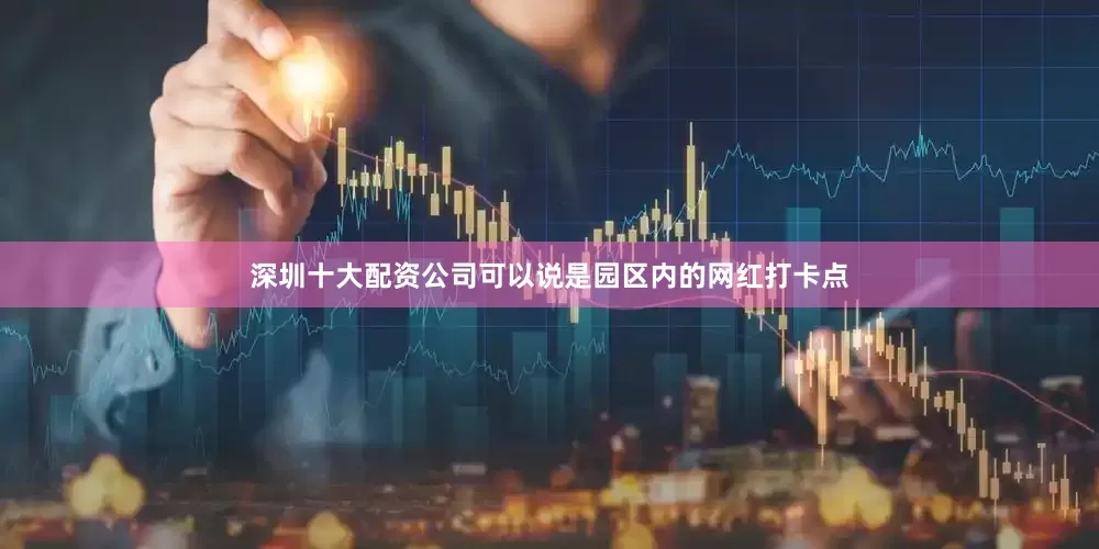 深圳十大配资公司可以说是园区内的网红打卡点