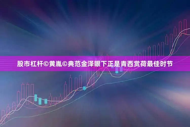 股市杠杆©黄胤©典范金泽眼下正是青西赏荷最佳时节