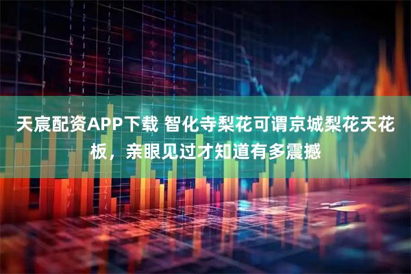 天宸配资APP下载 智化寺梨花可谓京城梨花天花板，亲眼见过才知道有多震撼