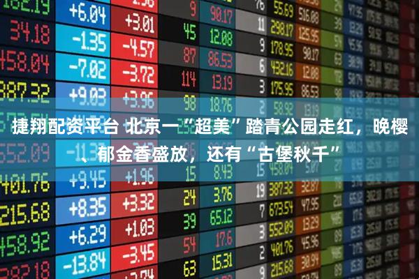 捷翔配资平台 北京一“超美”踏青公园走红，晚樱、郁金香盛放，还有“古堡秋千”